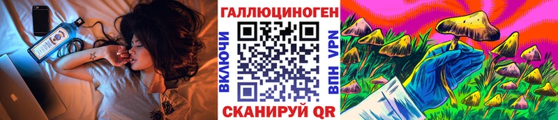 Галлюциногенные грибы Psilocybine cubensis KRAKEN маркетплейс Александровск купить наркотики цена